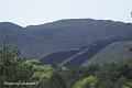 Etna1. 17mag08 (172)_ridimensionare_ridimensionare